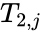 T_{2, j}