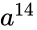 a^{14}