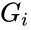 G_i